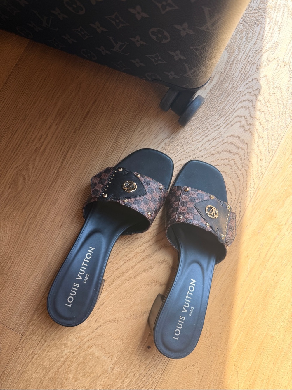 Louis Vuitton Brown Damier & Black Slide Mules with Gold Accents